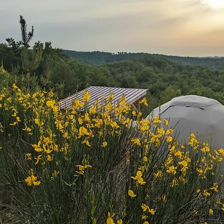 Le Dôme Du Roc Camping